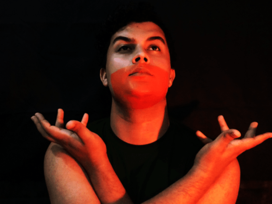 Alma Artística - Rafael Gulerps